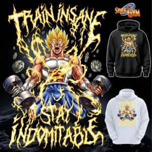 TRAIN INSANE STAY INDOMITABLE