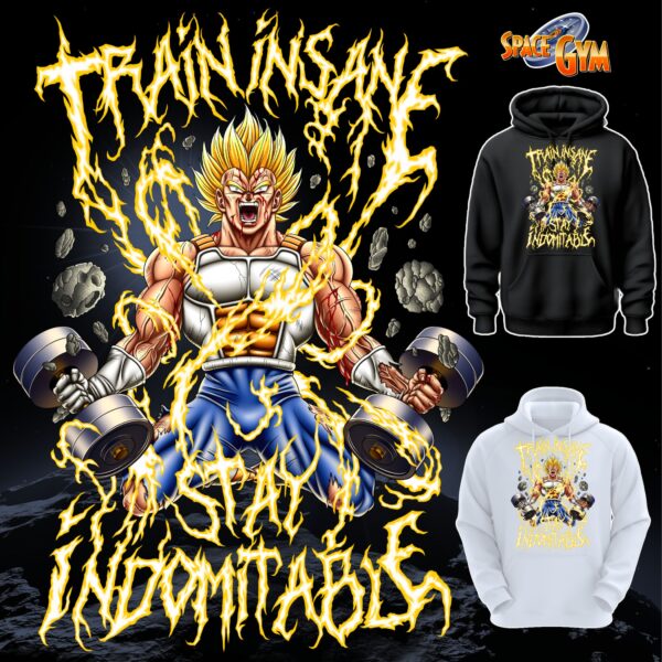 TRAIN INSANE STAY INDOMITABLE