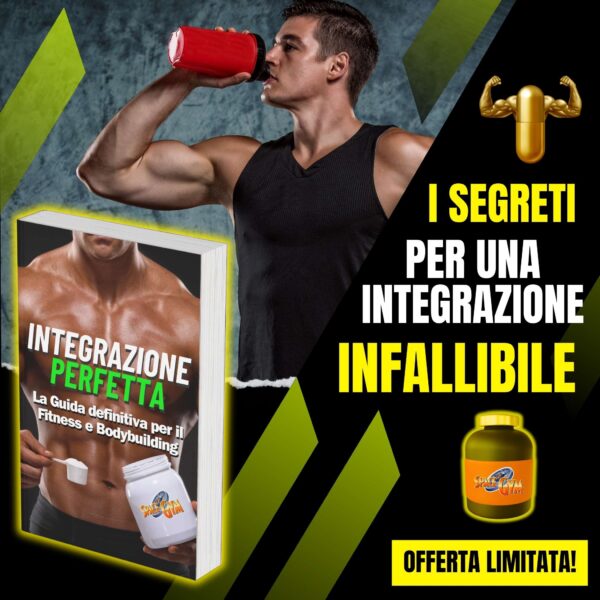 ALPHA FITNESS - immagine 5